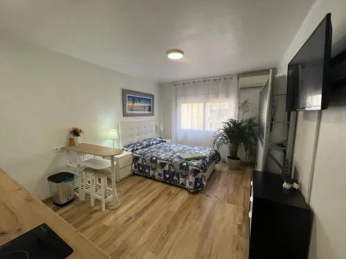 Apartamientos Roger