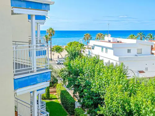 LITORAL COSTA DORADA - CORAL Only families