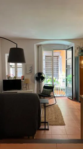 Apartamento con encanto y terraza en Barri Vell de Girona, El Cul de la Lleona