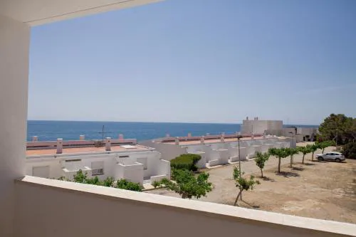Duplex Ancla