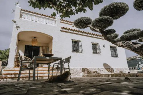 Oliveres3