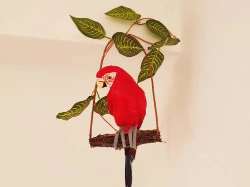 Parrot’s House