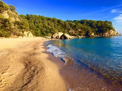 Private Apartments Cala Canyelles