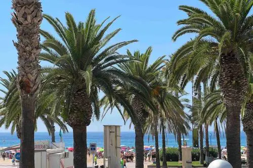 Primera línea de MAR con jardín