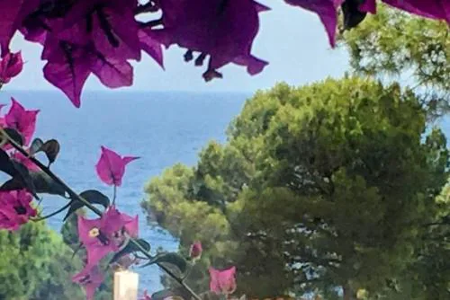 LETS HOLIDAYS House beach in Cala Salions