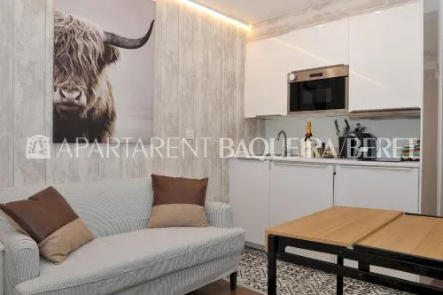 Apartarent 1500 - Estudio Àneu
