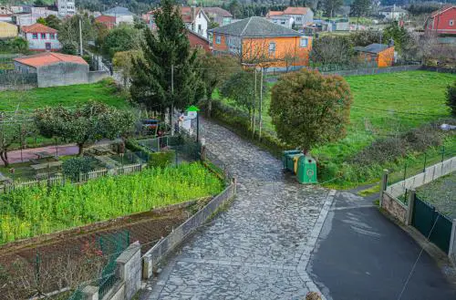 Mirador del Camino