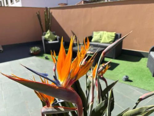 Apartamento Estela