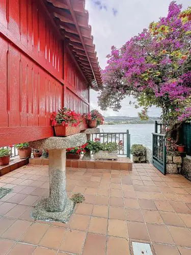 Casa Rosita