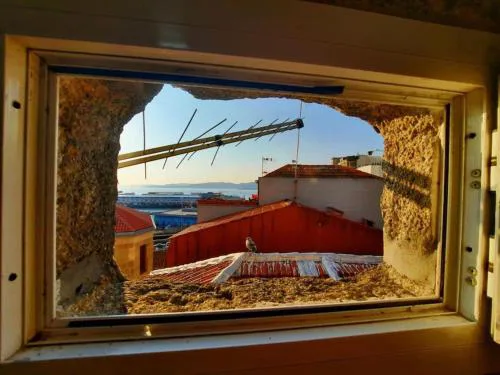 Apartamento céntrico y acogedor