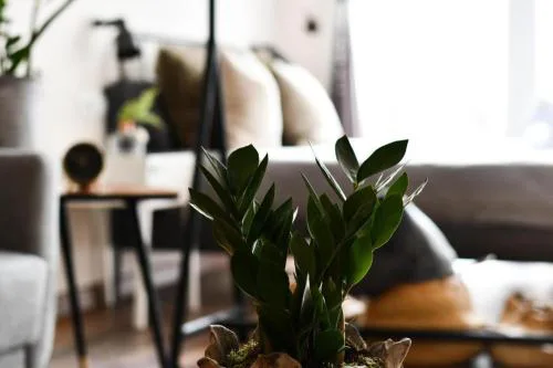 Loft by Celta Home