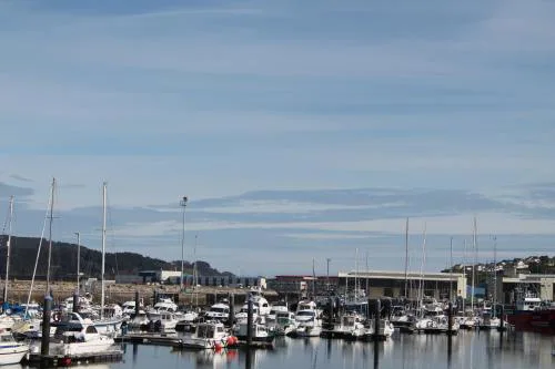 Viveiro