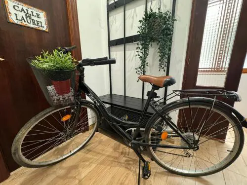 BIKE APARTMENT next to Cathedral and Laurel by Apartamentos Logrono org