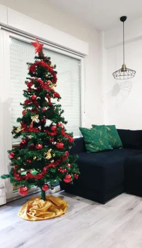 Amazing Apartment at Christmas Time