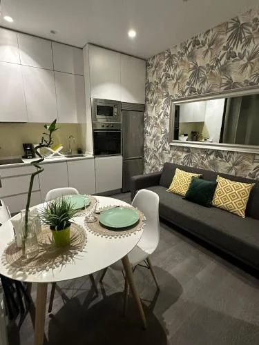 Apartamento 1 hab en La Latina - Madrid Centro