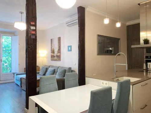 Apartamento Atocha Madrid Centro AVE muy grande