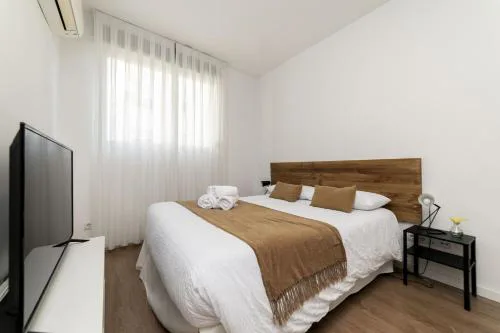 Deluxe VII - Ferga Suites
