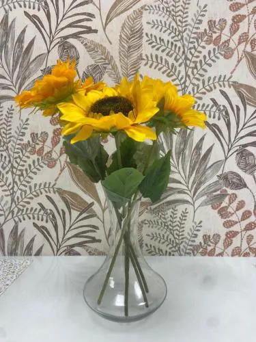 Girasol