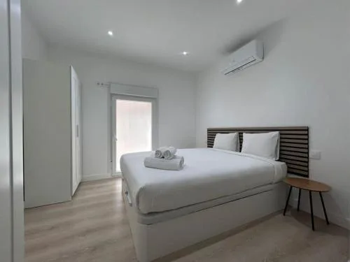 Large Apartment in Madrid - Boto