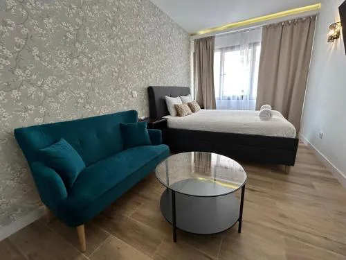 Renovated apartment in Madrid Center