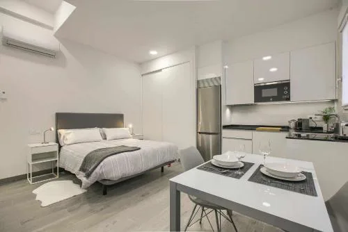 RiNa MADRID apartamento 2