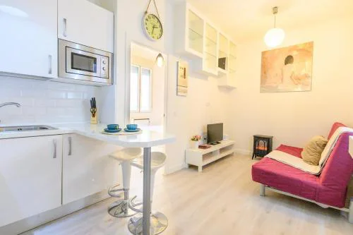 TEMPORAL apartment 1 bedroom flat a few metres from the city centre AMA2721