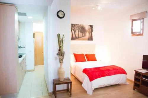Un ideal estudio para conocer Madrid