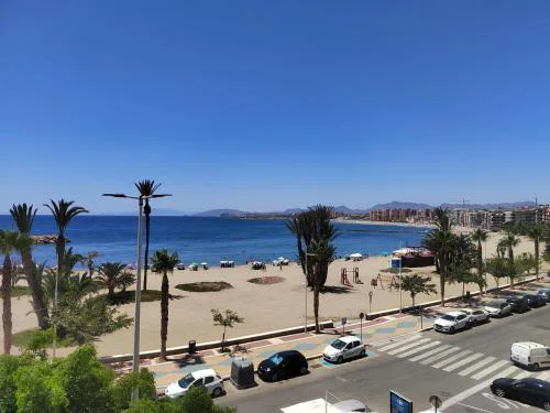Las Palmeras 1