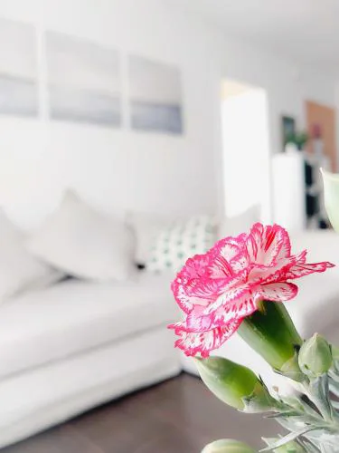 Alojamiento Amelie con Wi-Fi gratis