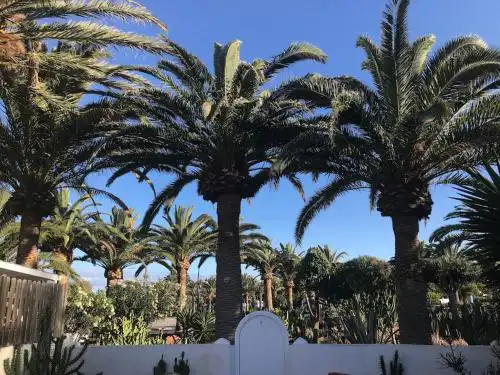 CASITA, Costa Calma, 2 SZ, Glasfaser Wifi, gute Lage, Strandnähe