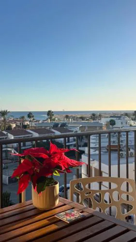 Seaview Apartment Los Cactus