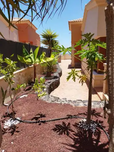 Casa Lily