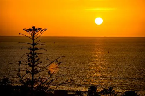 Ponderosa 611, Las Americas, one bedroom apartment with large terrace and ocean view, next to Siam Park