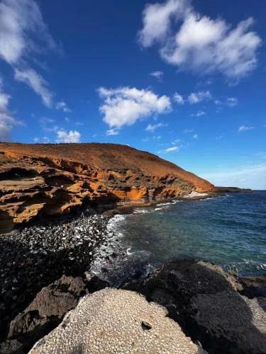 Bluemarine Tenerife