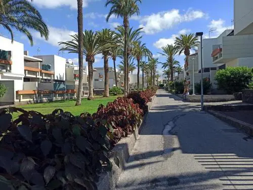 NICE STUDIO IN THE SOUTH OF TENERIFE IN THE COSTA DEL SILENCIO