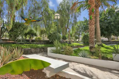 PARROT PARADISE STUDIO, WiFi, Smart Tv, Pool