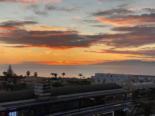 Flamingo Palm-Mar