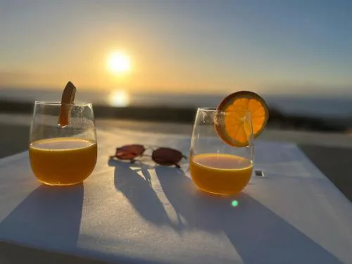 penthouse with great sea view and natural reserve - magnificent swimming pool - calm and bright