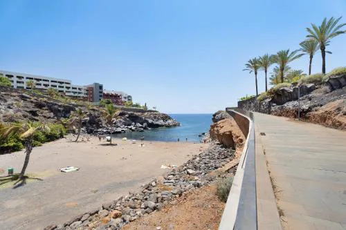 418 Panoramic View Playa Paraiso