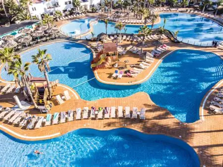 Playa y Palmera