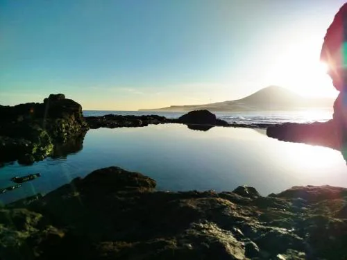 Natura punta