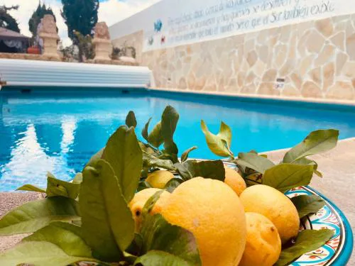Authentic Canary Style Villa with private pool and garden- Casa Juan Vera