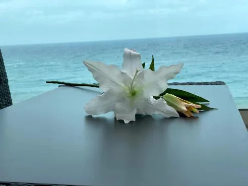 Hermoso Edificio Frente al Mar, a pie de Playa y hermosas vistas