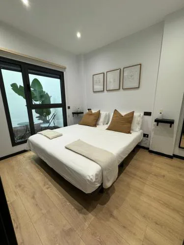 Oasis Pavia 15
