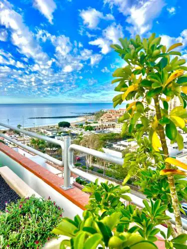 Las Vistas Dream
