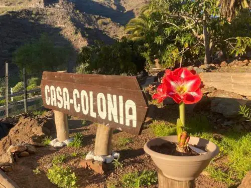 Casa Colonia