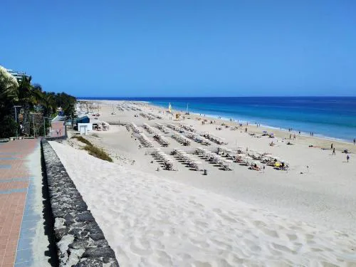 Apartments Palm Garden in front of the beach