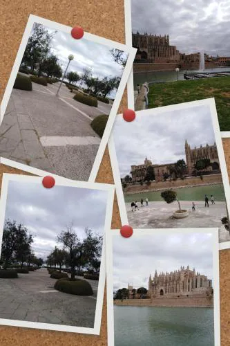City Haven Palma