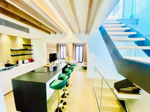 Hotel-Apartment with big terrace