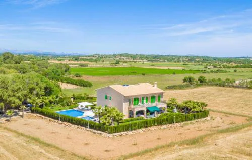Palmeral